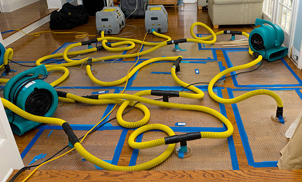 Professional Sewage Cleanup technician working in Panama, IA